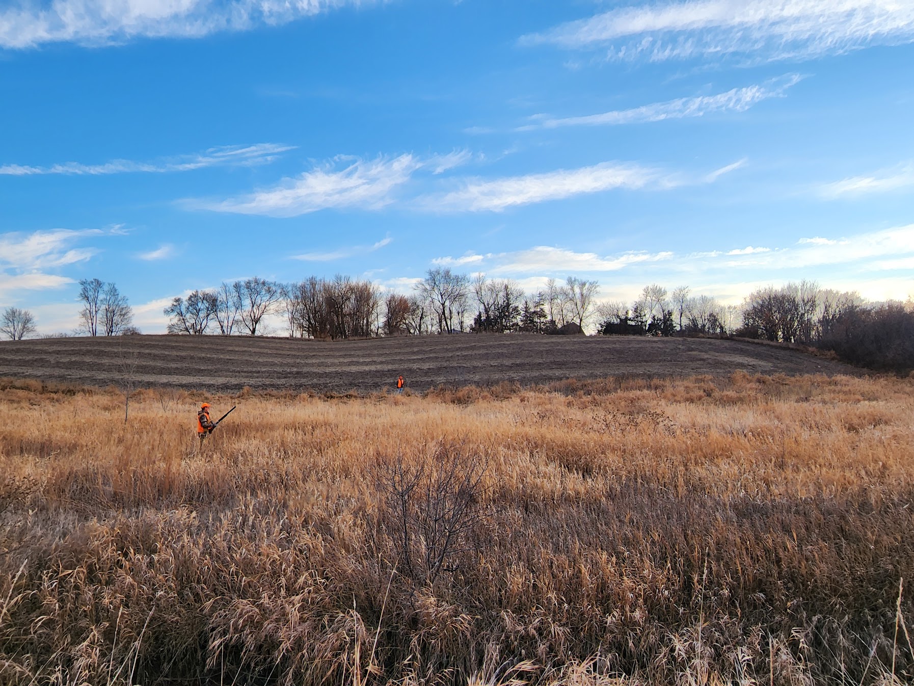 Walking some grassland with fellow Upland Hunters next to a crop field and wooded edges.