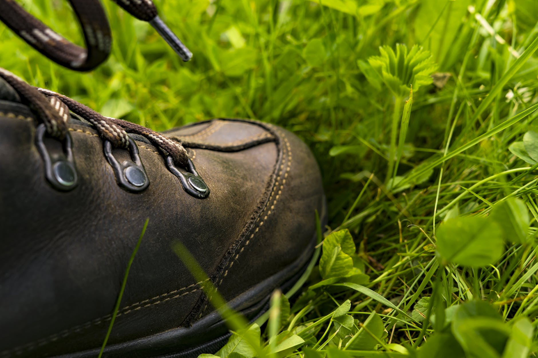 black leather upland hunting boot on the grass