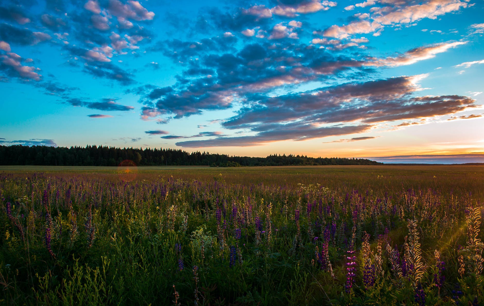 green meadows near mountain under calm sky