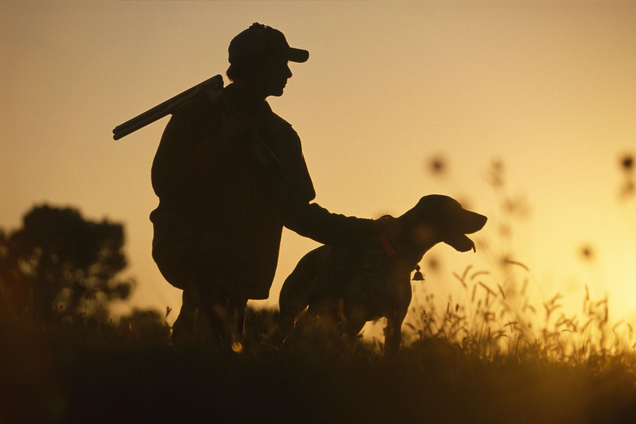 Upland Hunter and his dog